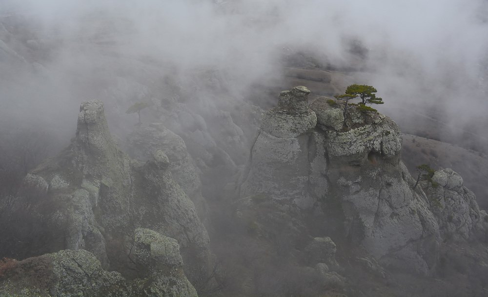 Photograph by Михаил Колтухов