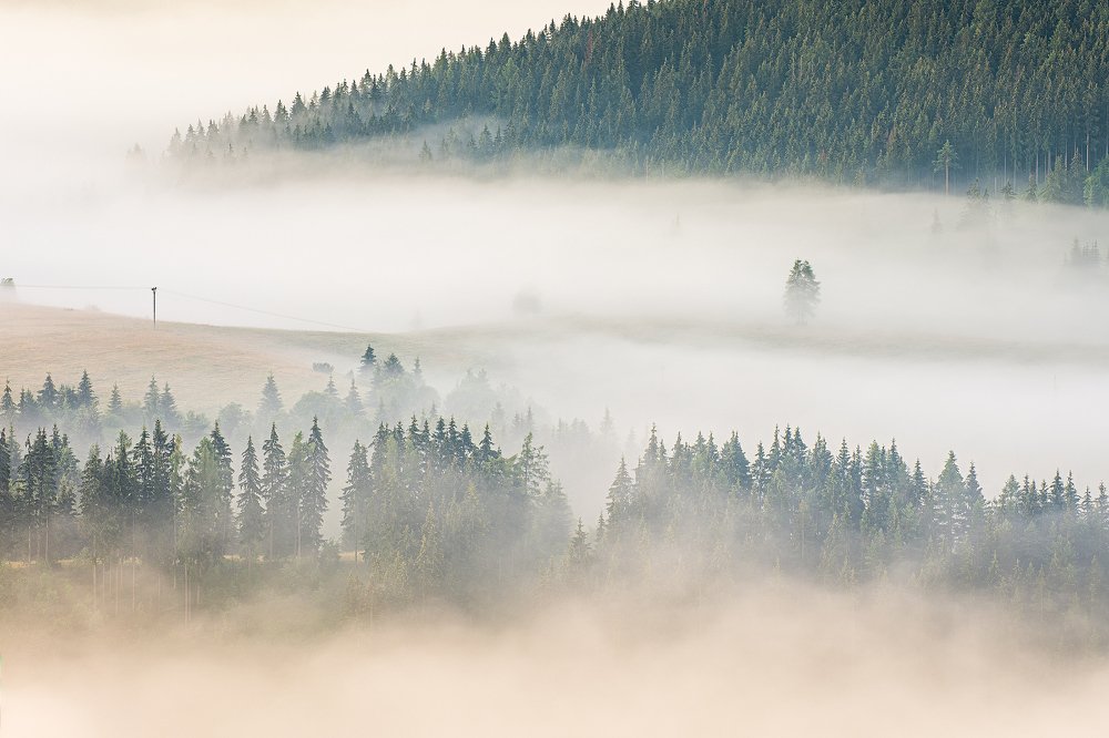 Photograph by Juraj Cisár