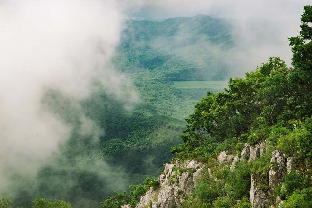 Photograph by Тимиргалеев Алексей