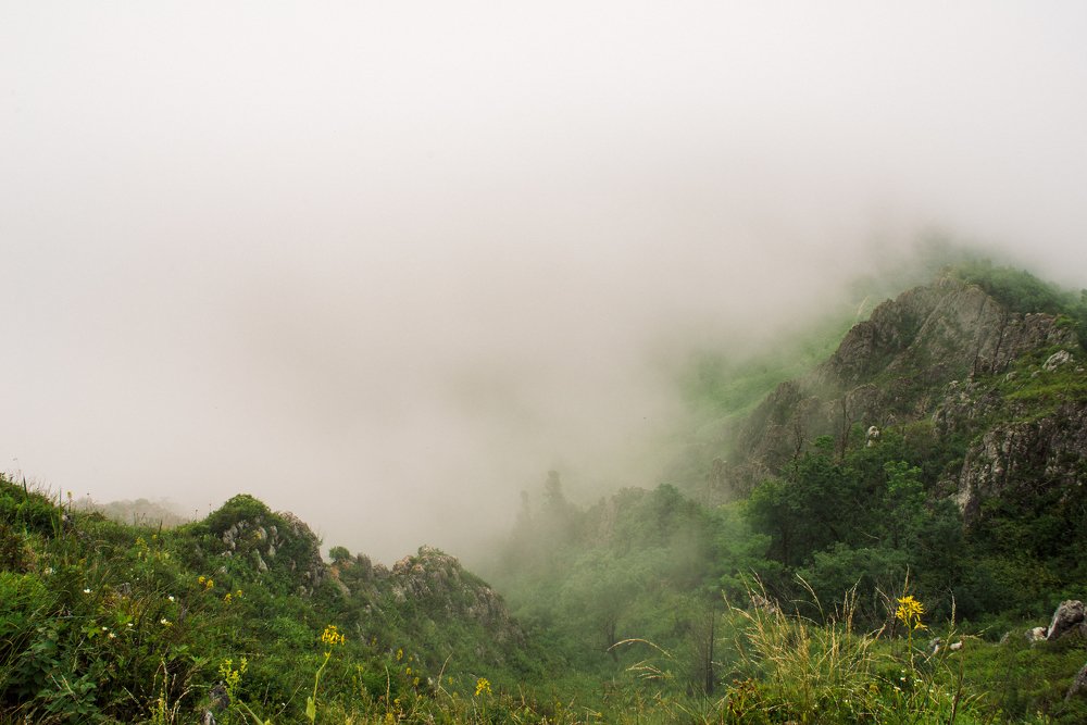 Photograph by Тимиргалеев Алексей