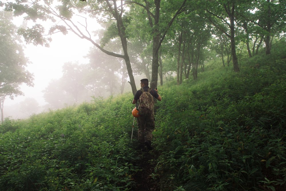 Photograph by Тимиргалеев Алексей