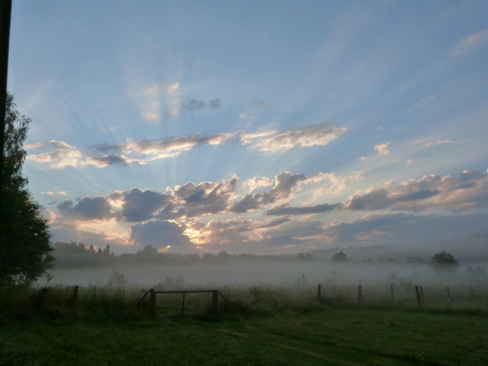 Раннее утро