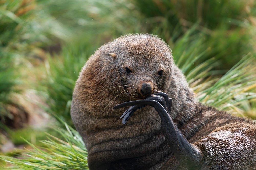 Photograph by Татьяна Дударенко