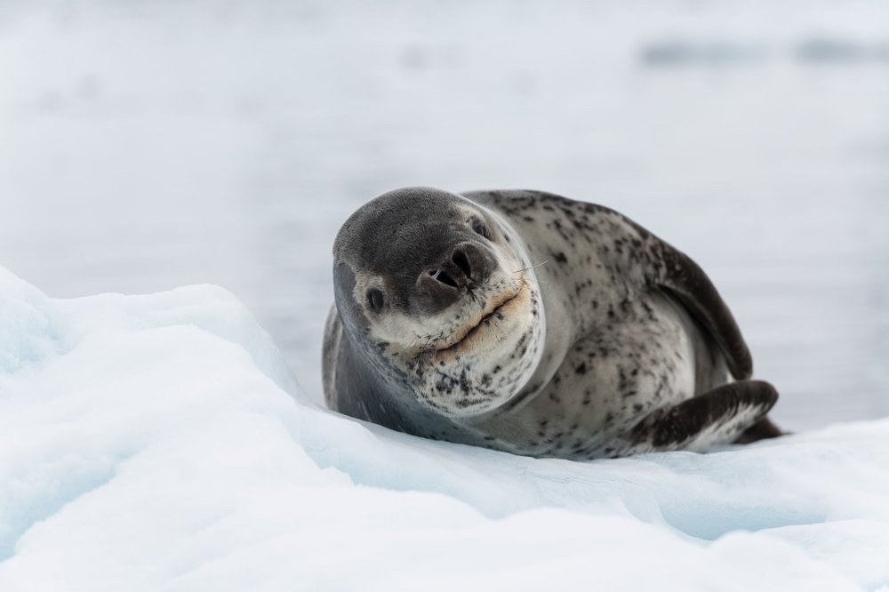 Photograph by Татьяна Дударенко