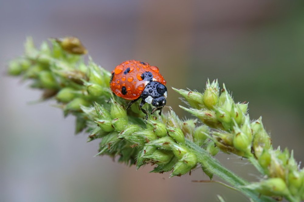 Photograph by Игорь Осипов