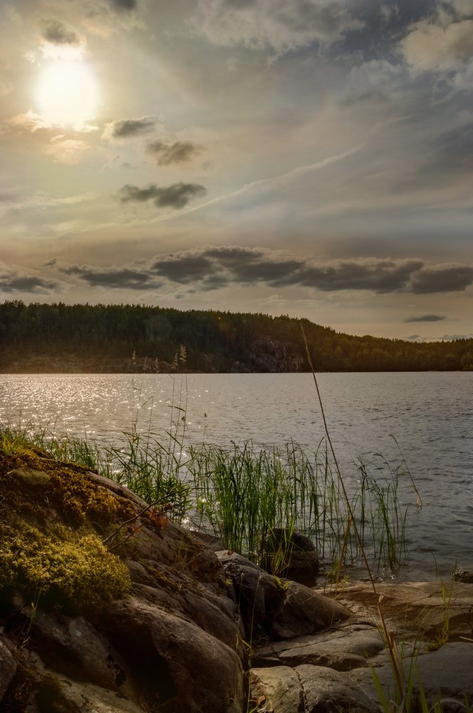 Photograph by Олег Менакер