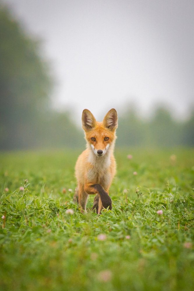 Photograph by Артем