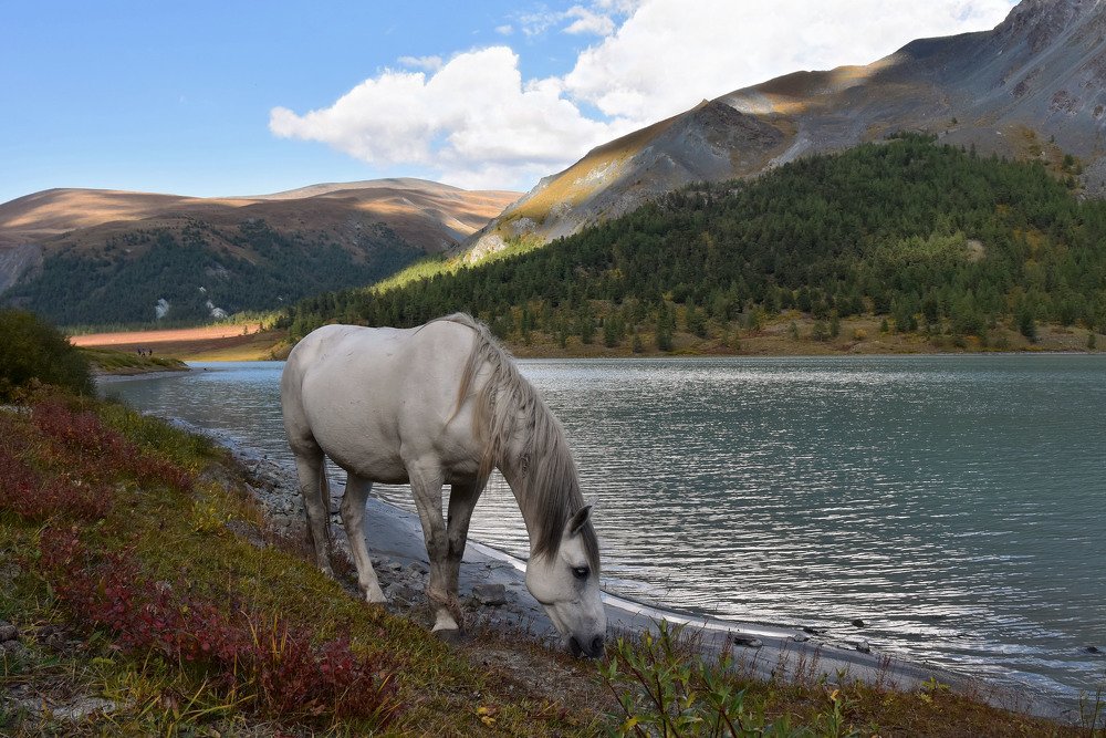 Photograph by Вера Кетова