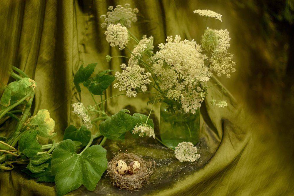 Photograph by Лис Ната