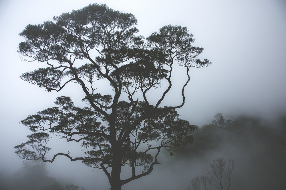 Photograph by HITTHEROAD