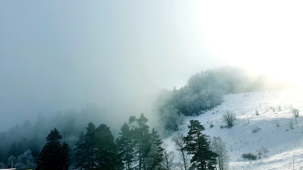 Проснулась... утро...