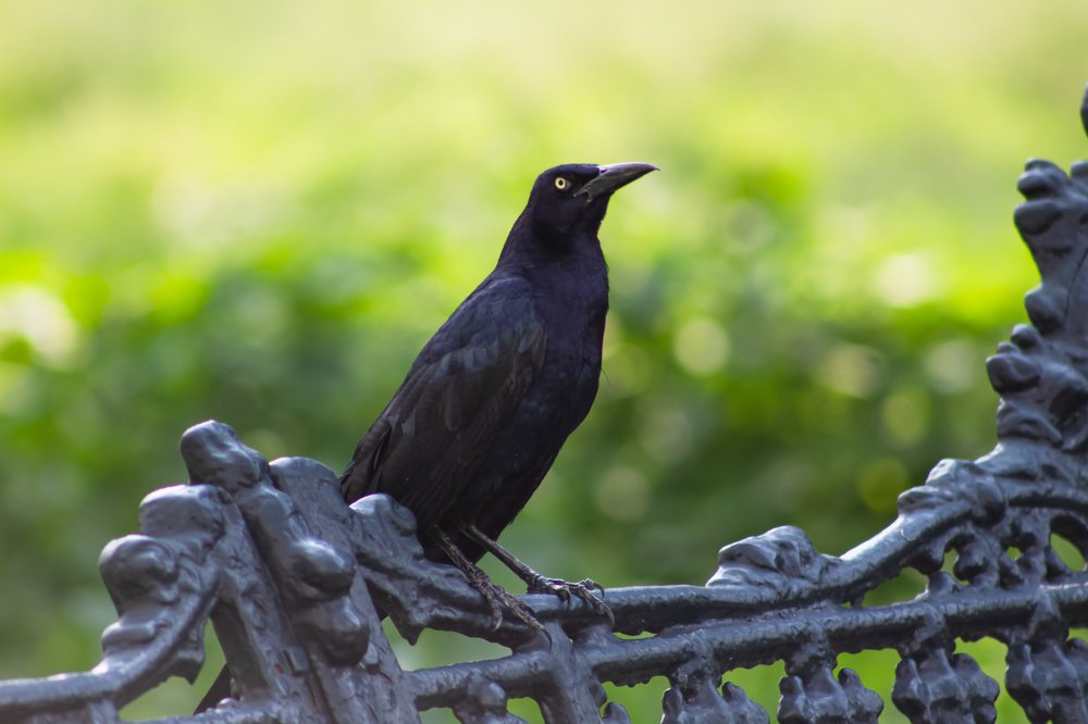 Photograph by Luis Javier Marina Corral