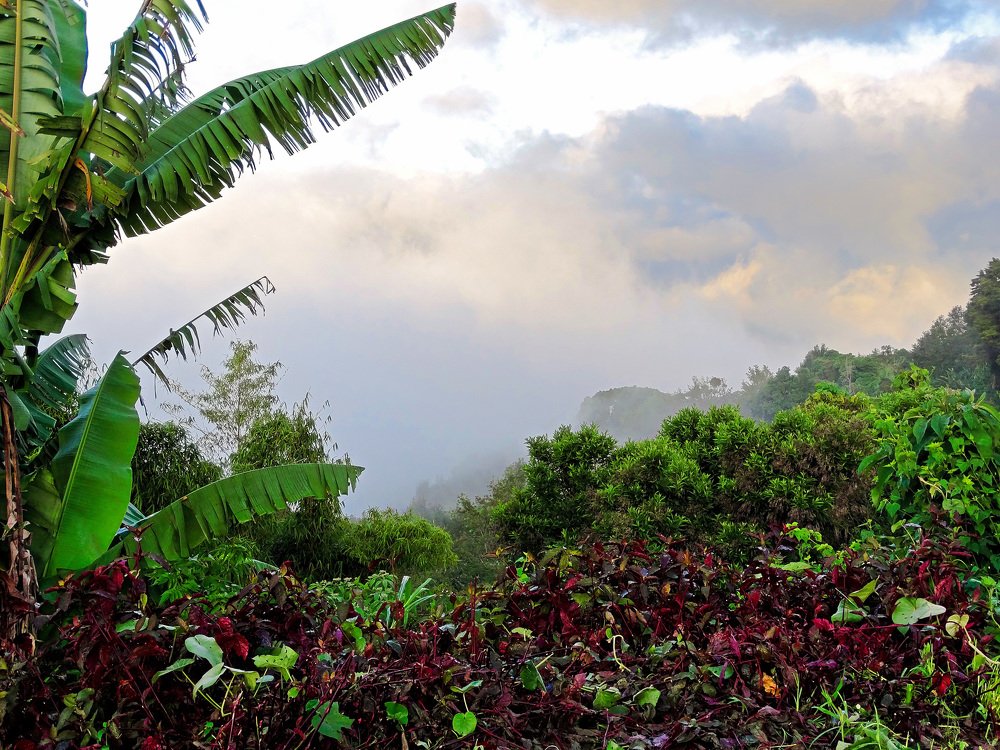 Фотография автора Juan Carlos Castillo