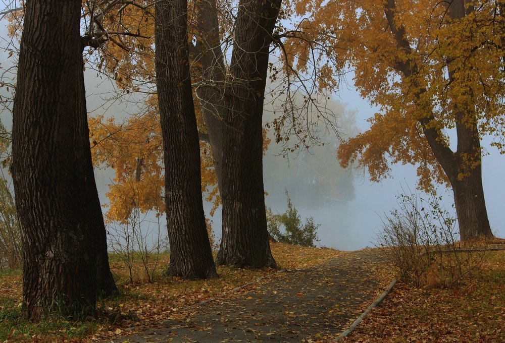 Photograph by Зоя Быкова