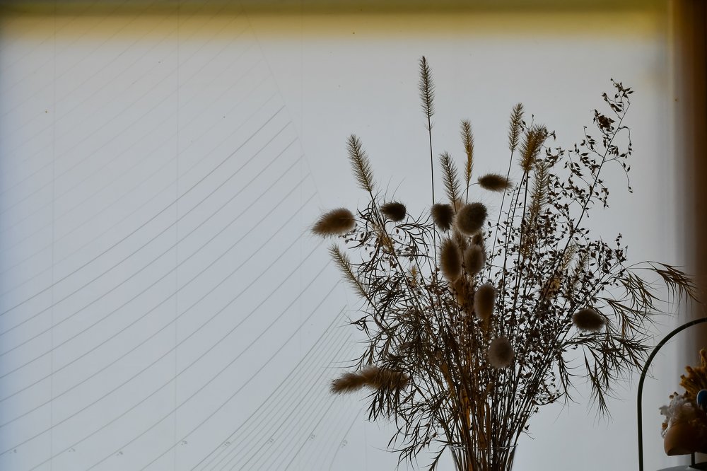 Фотография автора Андрей Симонов