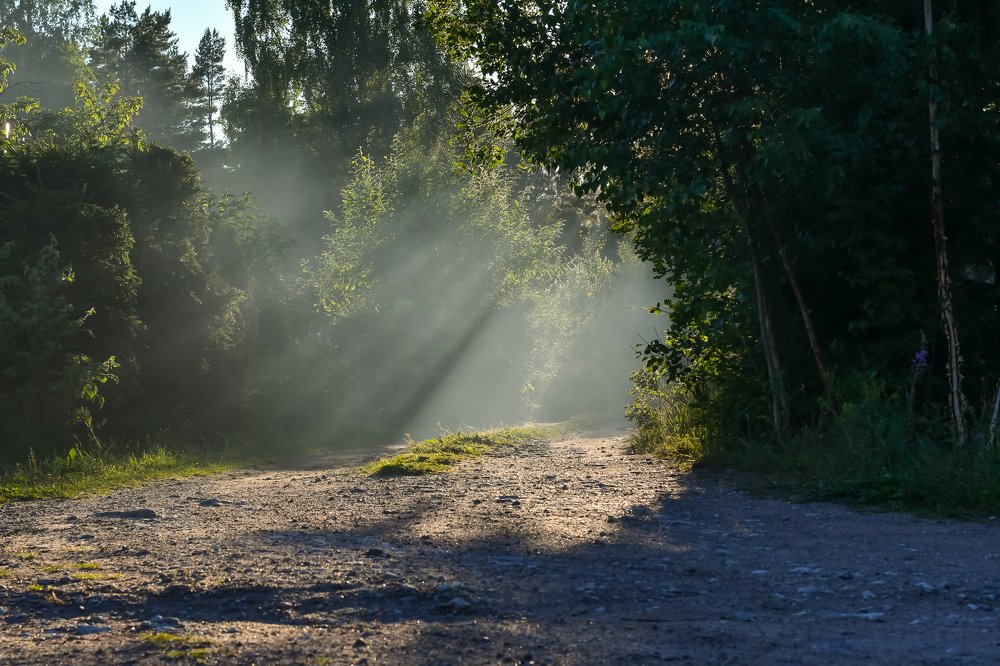 Фотография автора Андрей Симонов