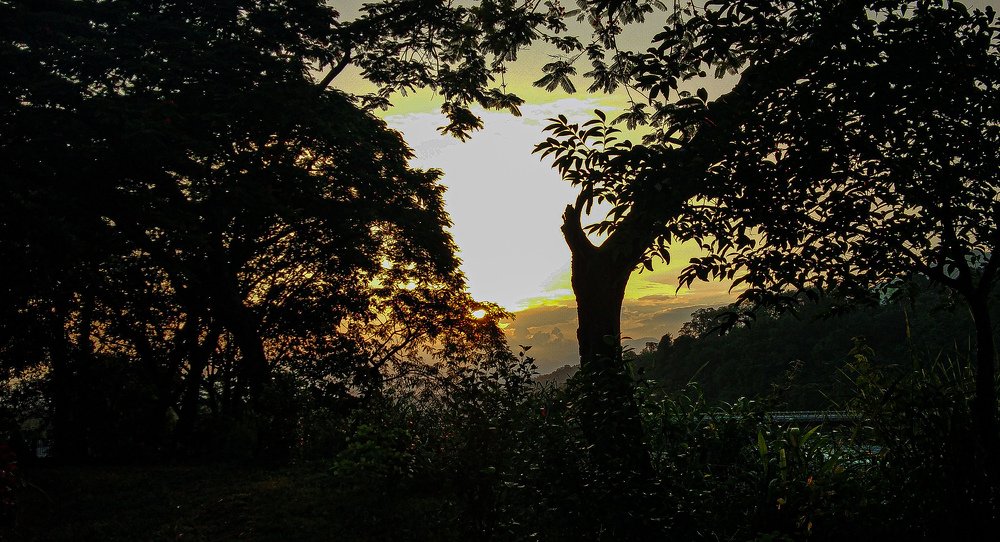 Photo #4818801