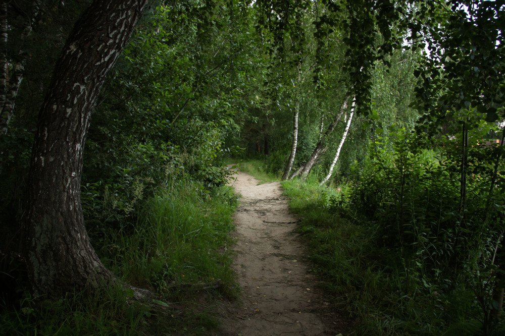 Photograph by Ольга Ермакова