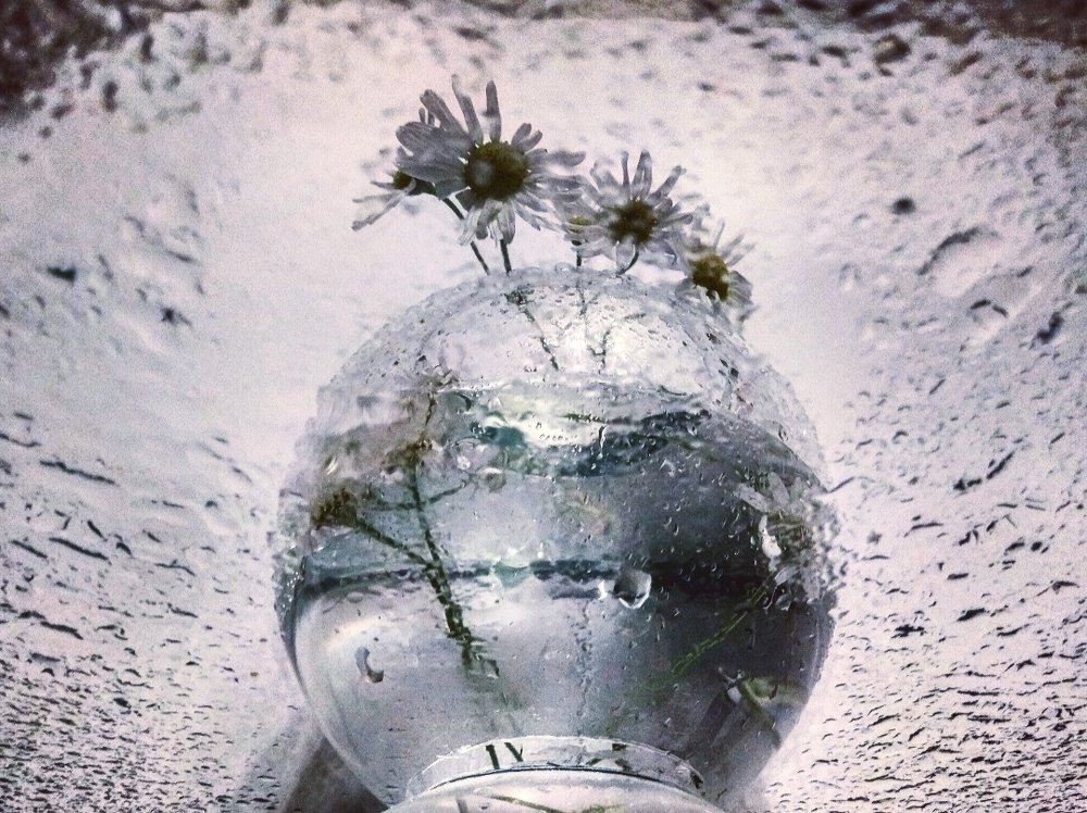 Photograph by Марина Хохрякова