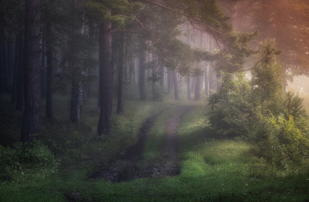 Photograph by Татьяна Бирюкова