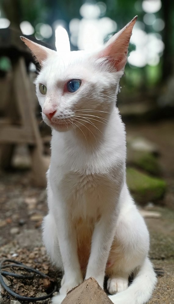 Photograph by Liza Anunsawon