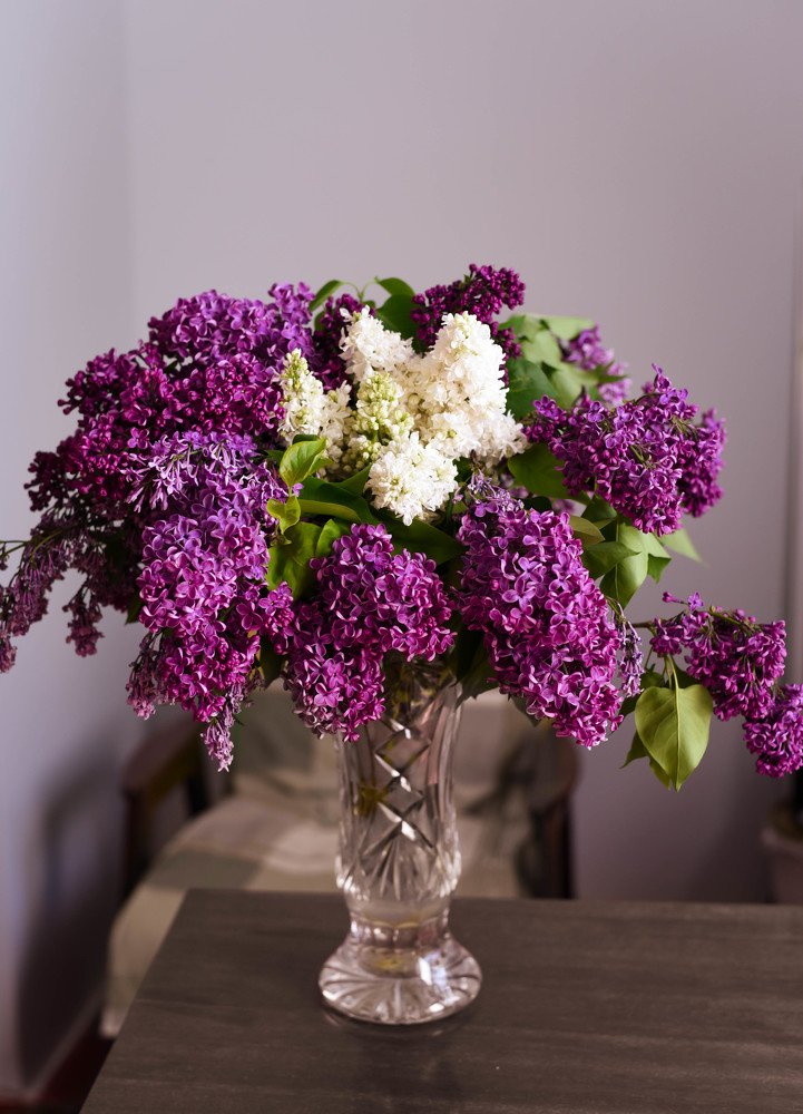 Photograph by Елена Зоря