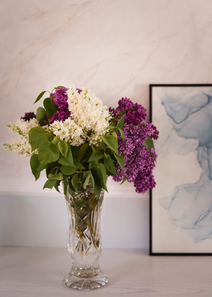 Photograph by Елена Зоря