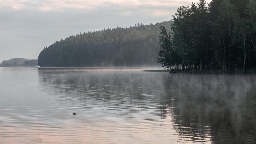 Photograph by Вячеслав Болякин