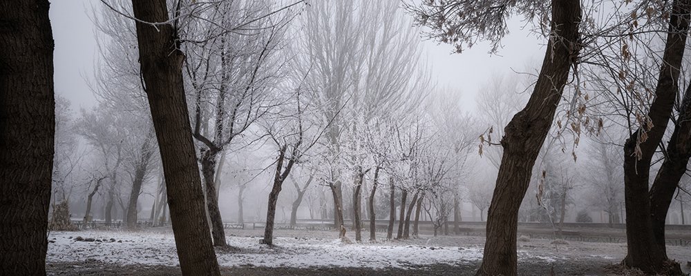 Photograph by Amir Ramezani