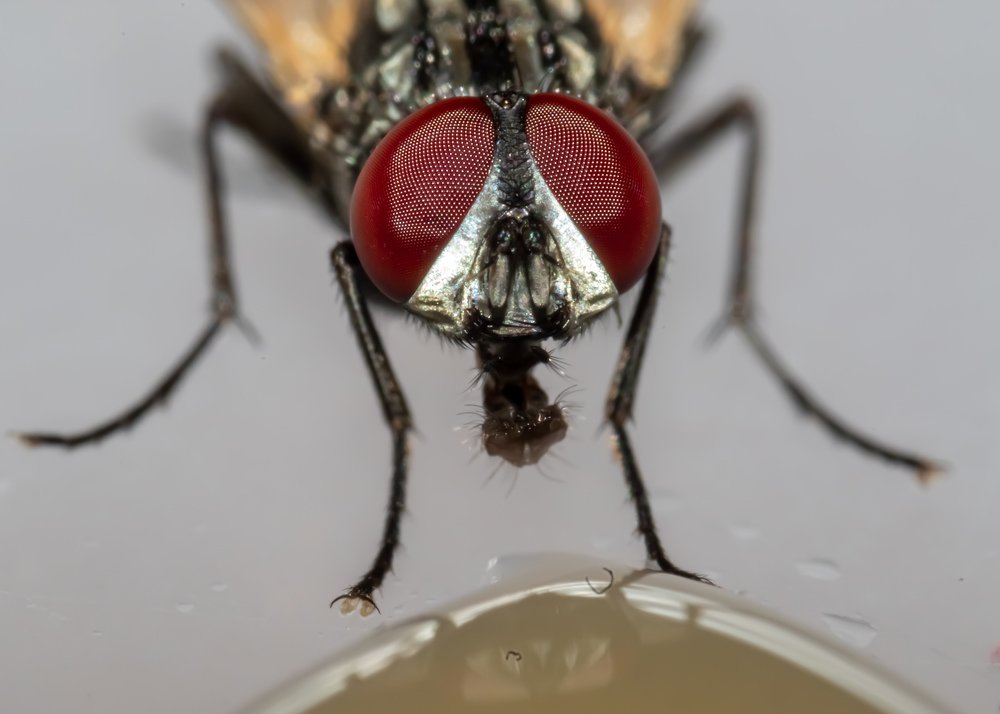 Photograph by Pratik Bhatt