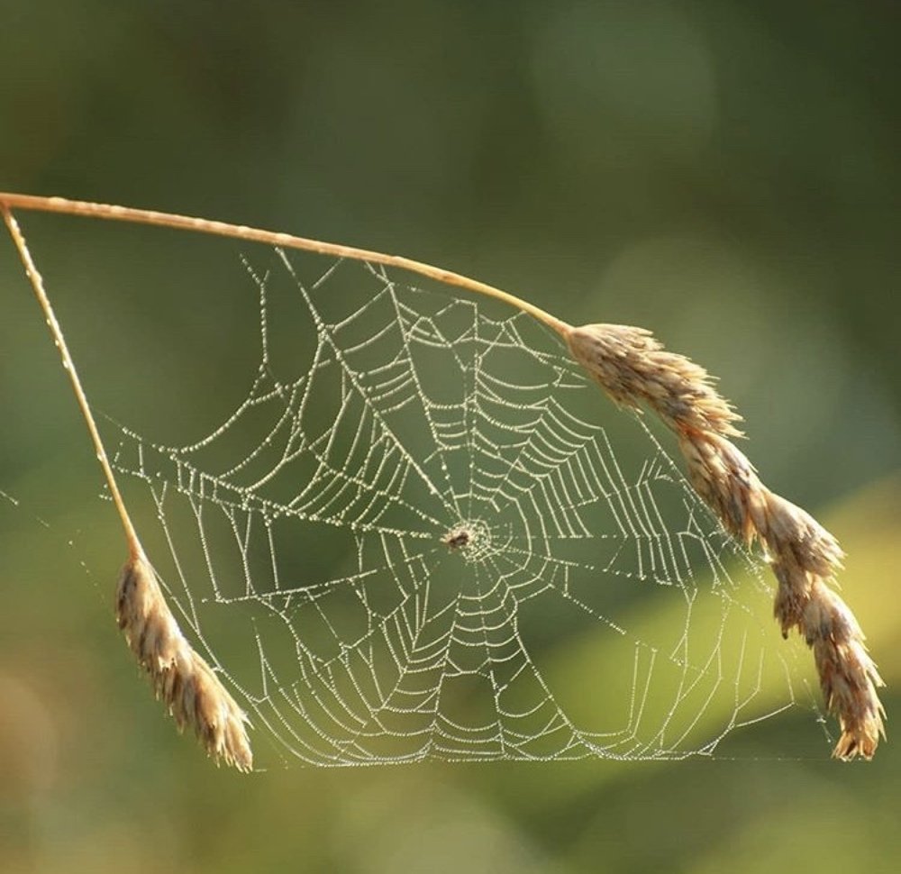 Немного недоделал или что получается,когда нет креативной жилки
