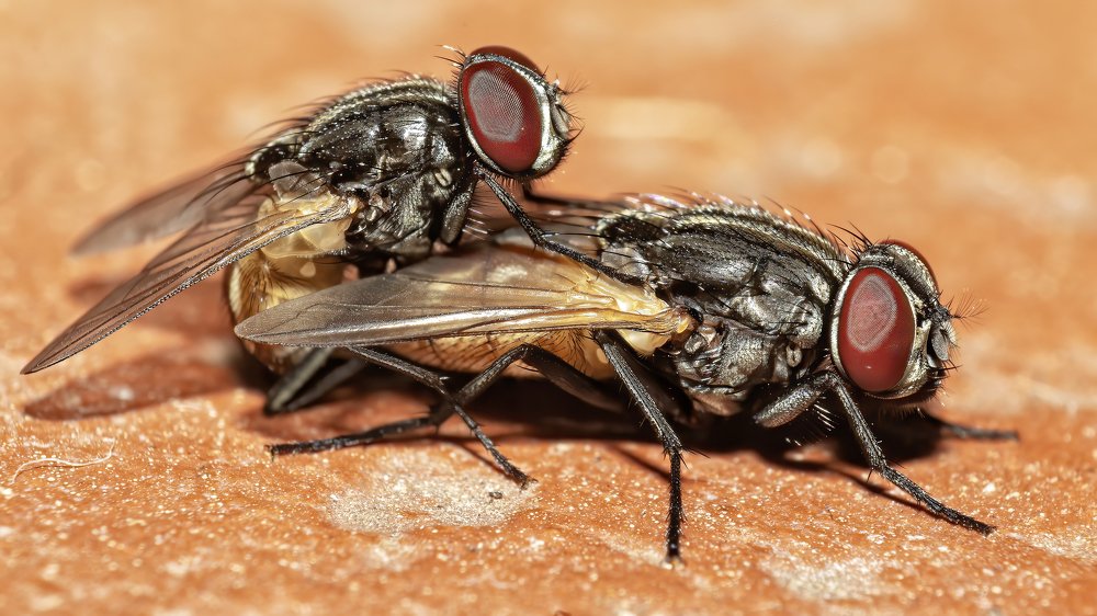 Photograph by Pratik Bhatt