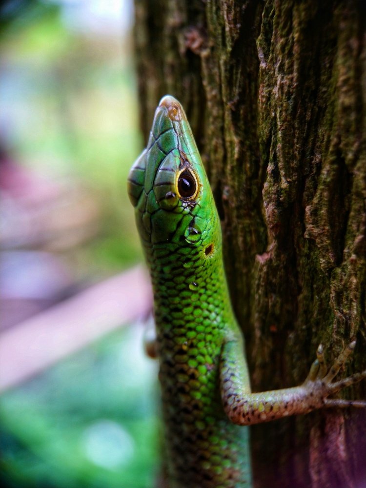Photograph by Jan Llaguno