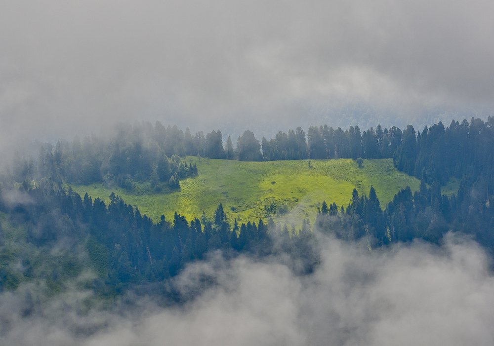 Photograph by Дмитрий Жижин