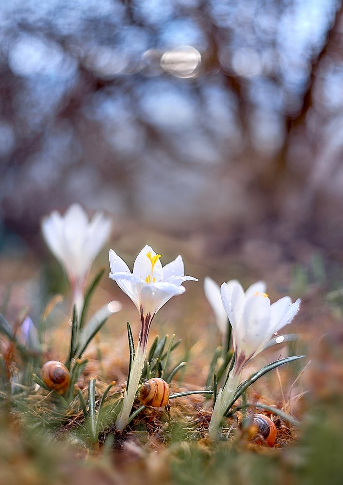 Photograph by Екатерина Глебова