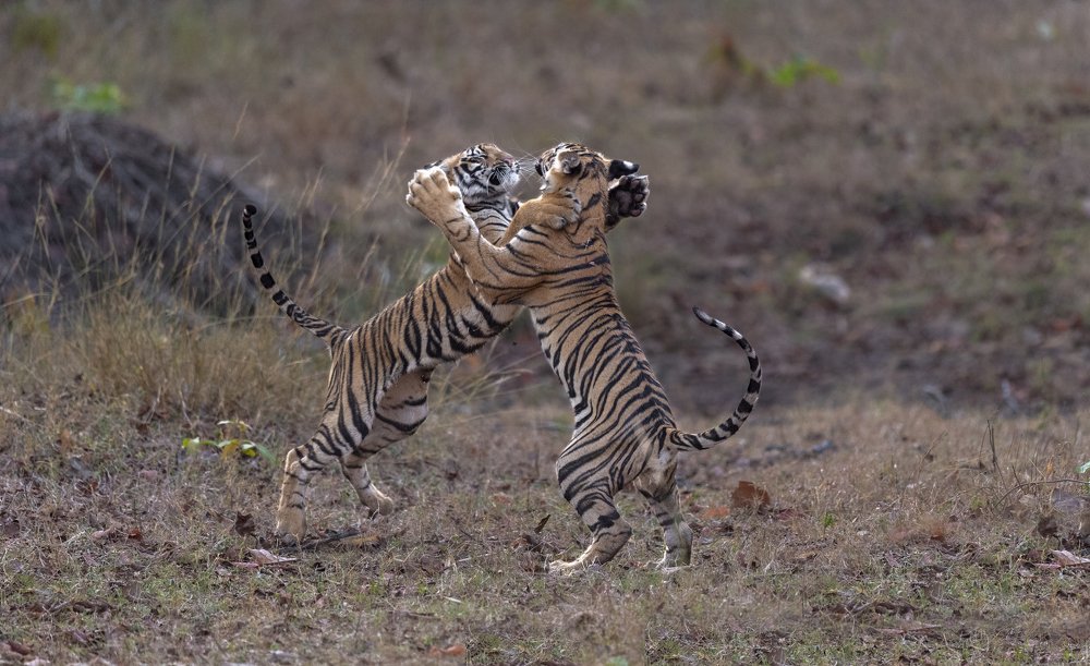 Photograph by Jitender Govindani