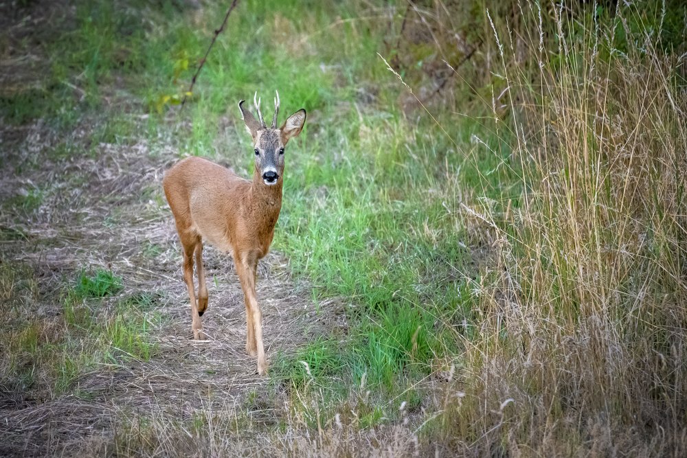 Photograph by Сергей Нагель-Синегубов