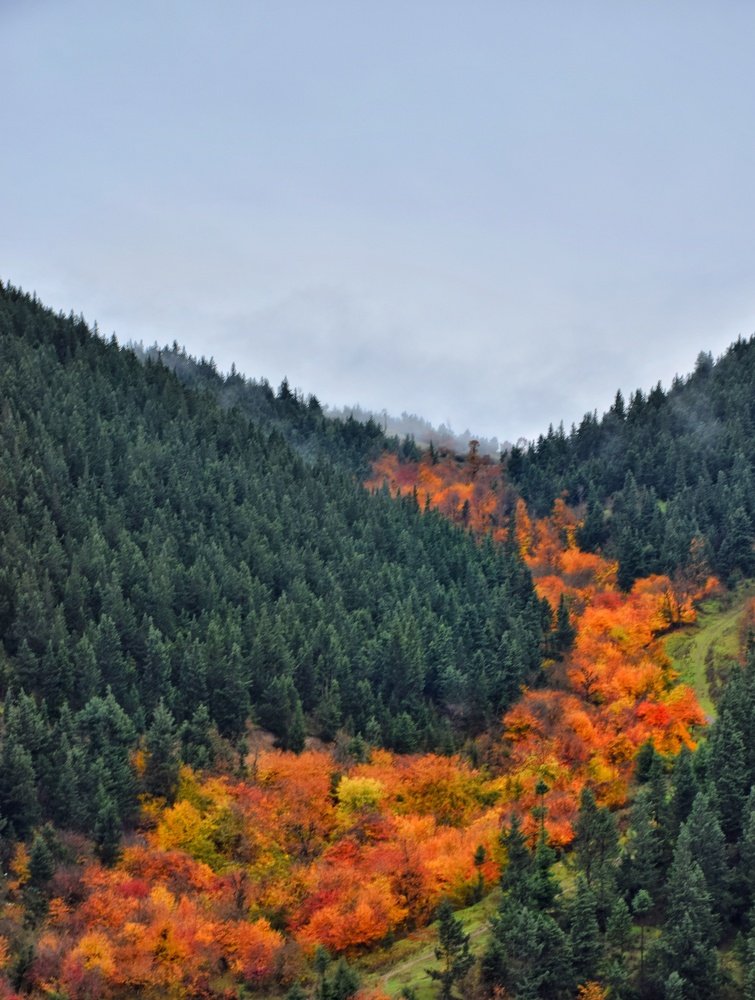 Photograph by Mohammadreza Sabetikhah masuleh