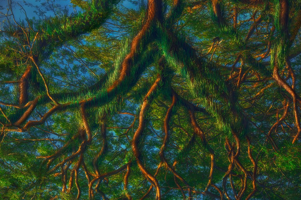 Photograph by milleryao