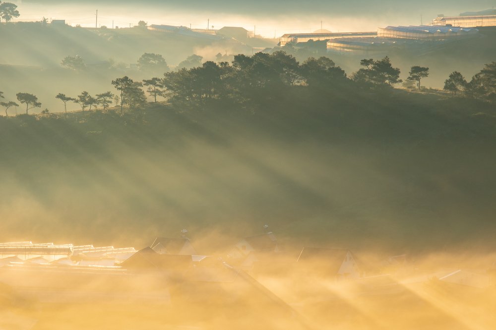Photograph by Phuc Vo Hoang
