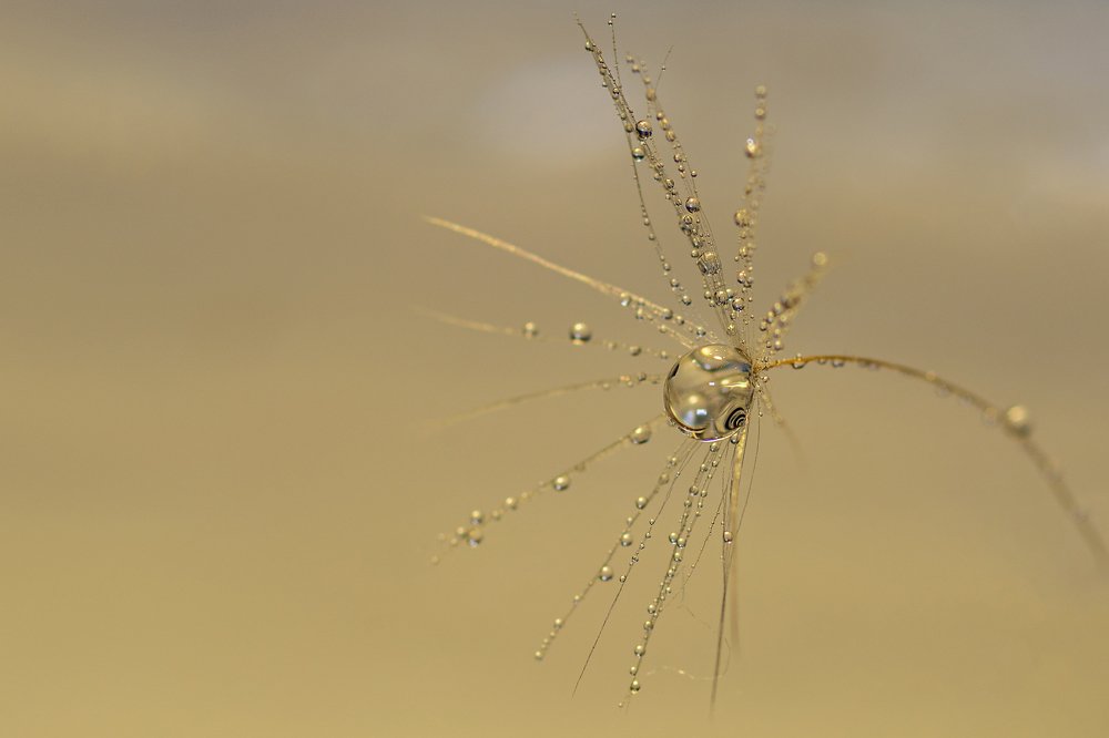 Photograph by Виктор Чернюк