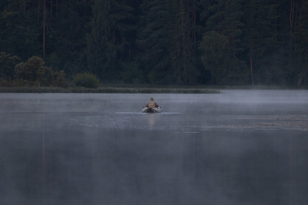 Photograph by Мария Скрябина