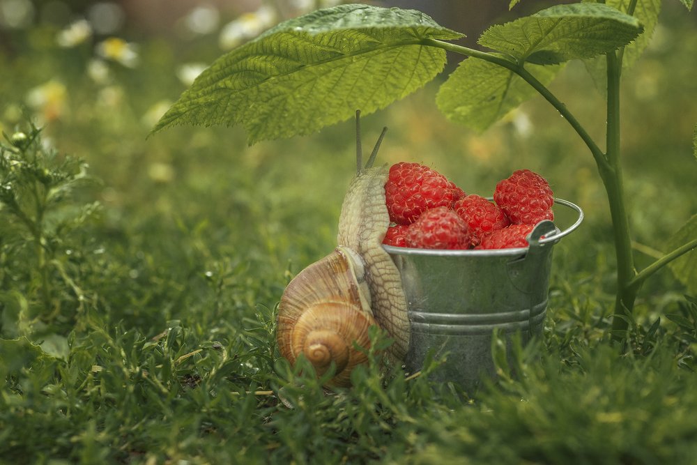 Photograph by Максим Вышарь