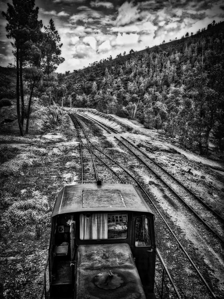 Photograph by Sergio Vitale