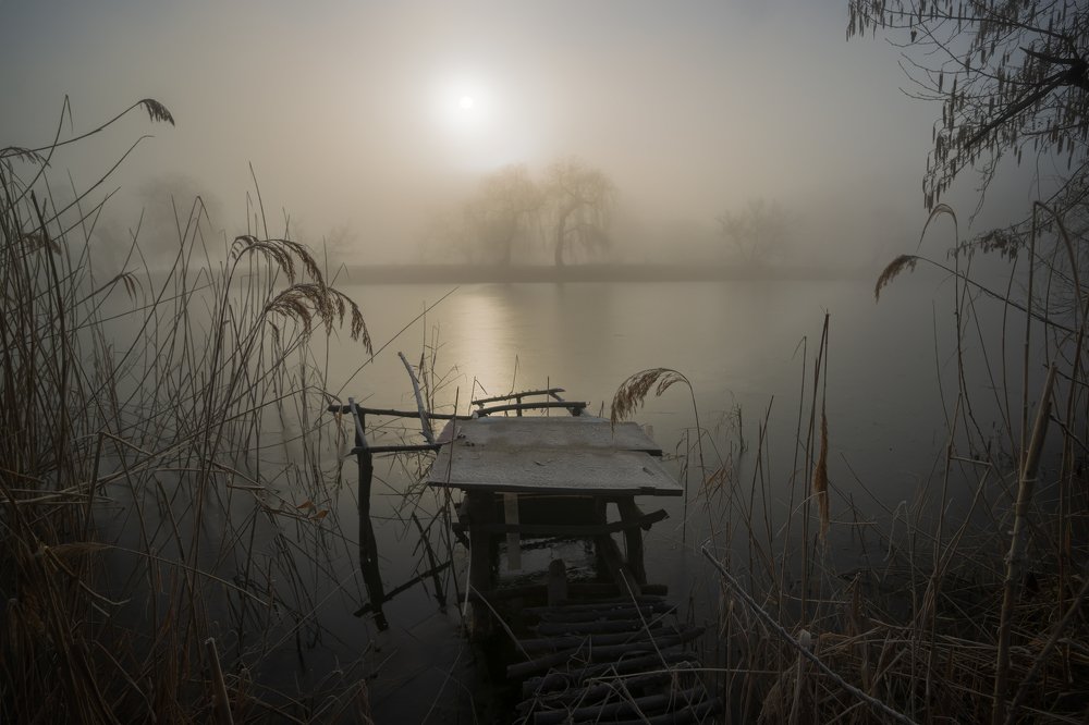 Туманные начало...