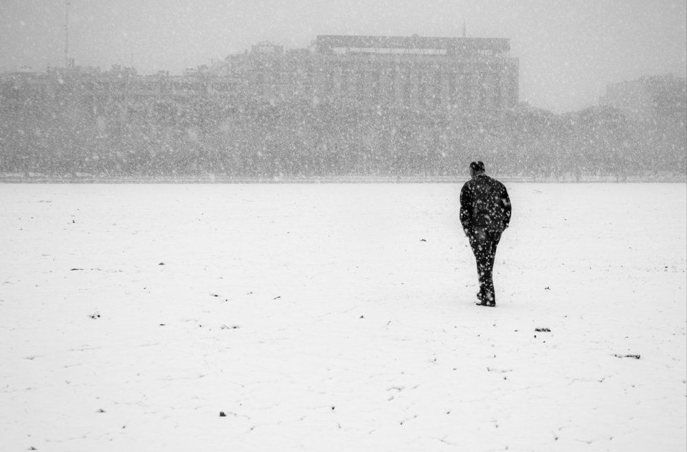 Photograph by Alireza Zaghian