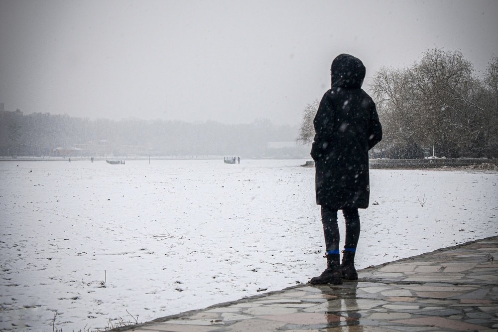 Photograph by Alireza Zaghian