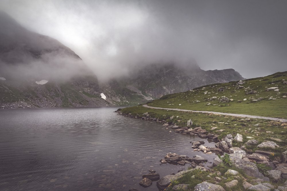 Photograph by Venelin Dimitrov