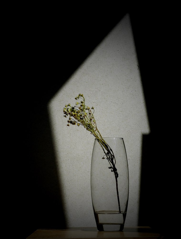 Photograph by Анастасия Егорова