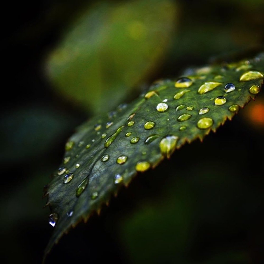 Photograph by Мария Симкович